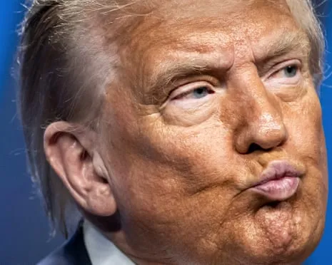 Trump vs Reality Review: Few Network Would Attempt TV So Daring (while also) Repetitive